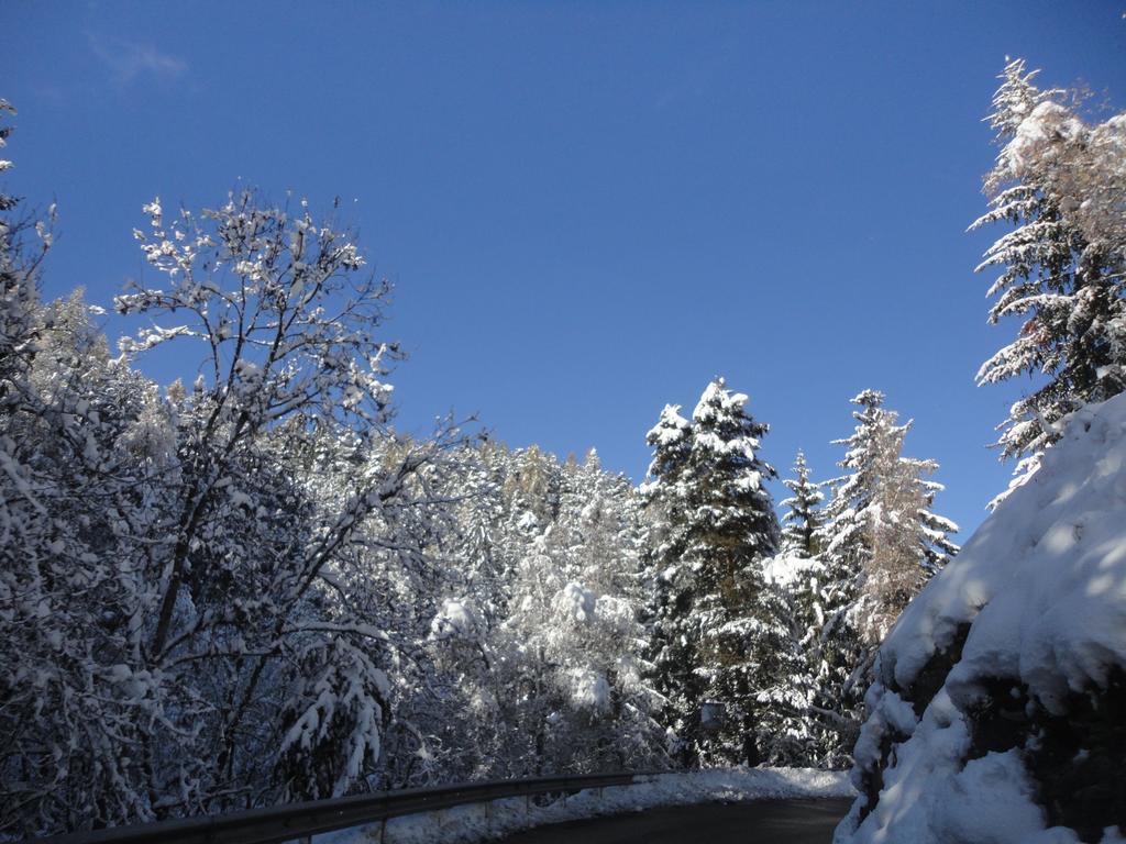 B&B Eischoll Dış mekan fotoğraf